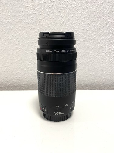 Canon 300mm 5 6 - canon, 75-300mm