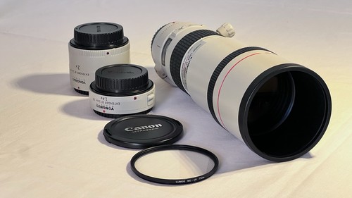 Obiettivo canon 300mm 4 l - canon,
