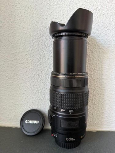 Canon 300 4 5 - ef, mm