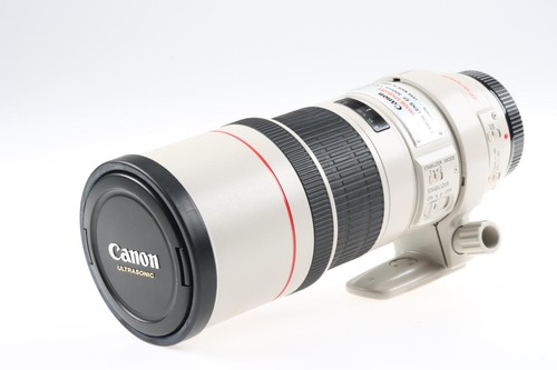 Canon 300 l usm - ef,